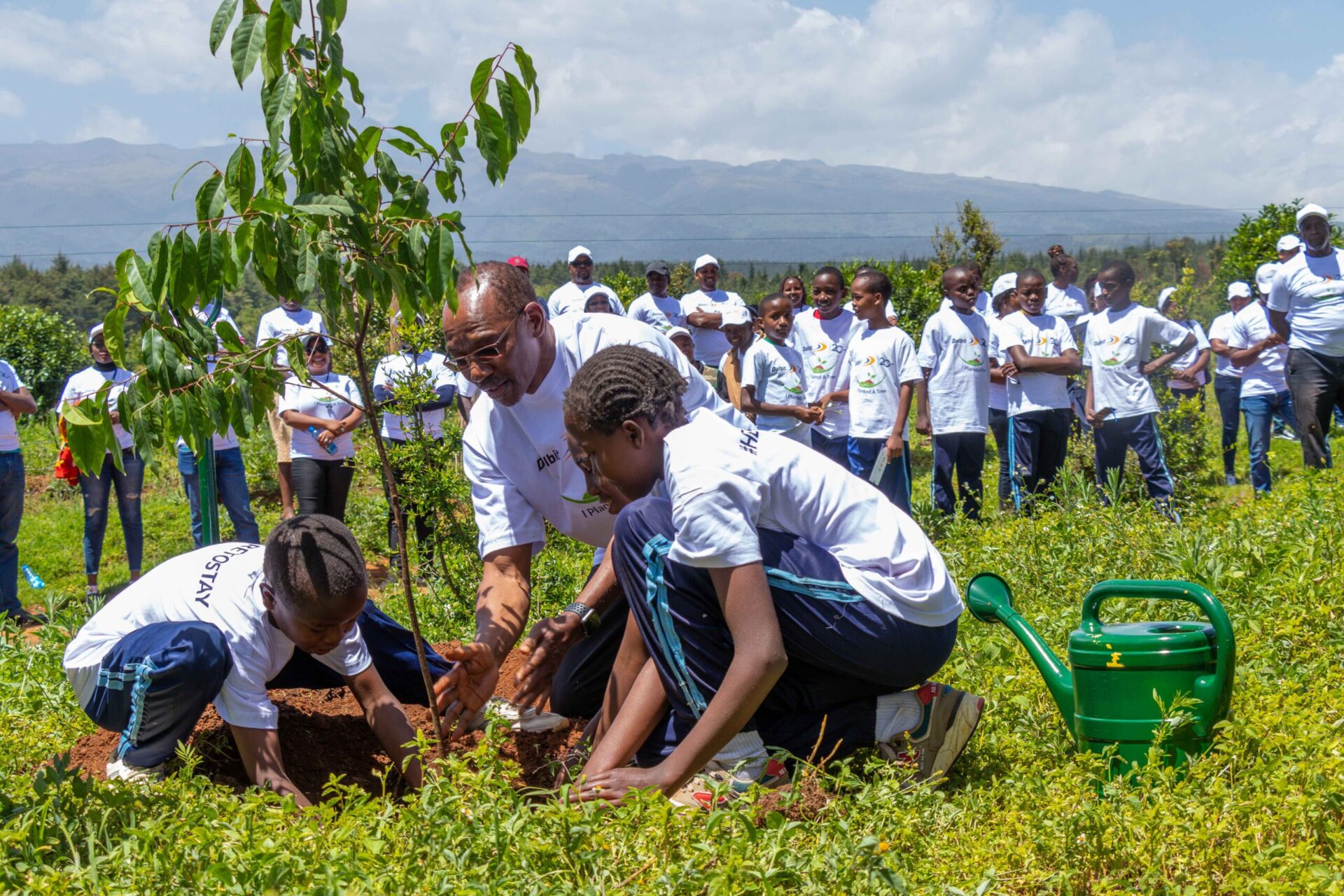 Rolling green hills and mountains representing environmental advocacy