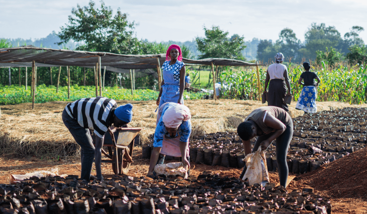 Community engagement and education