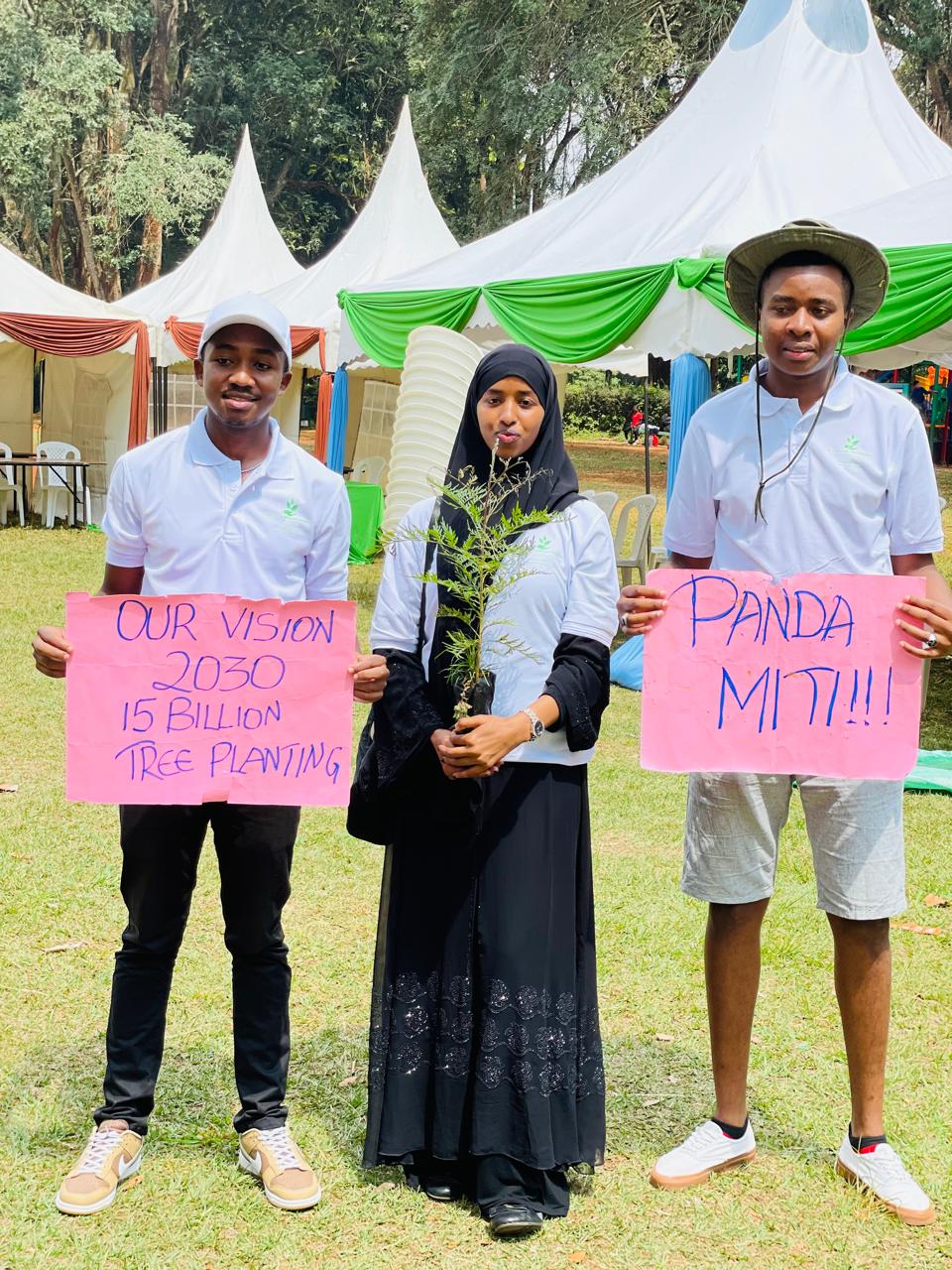 Rolling green hills and mountains representing environmental advocacy